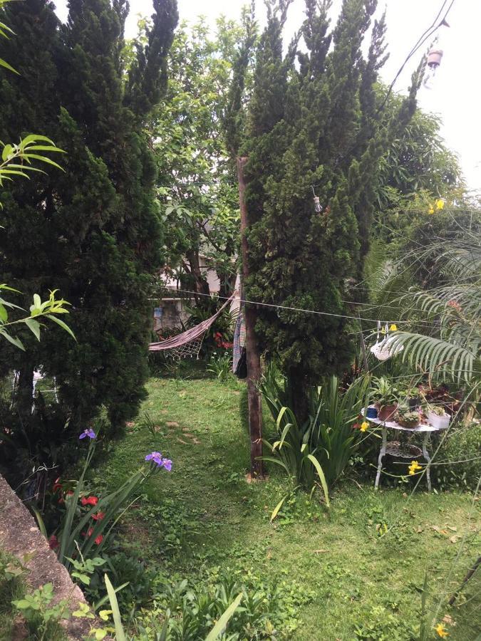 Homestay Casa *
